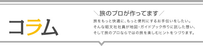 コラム