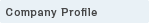 Company Profile