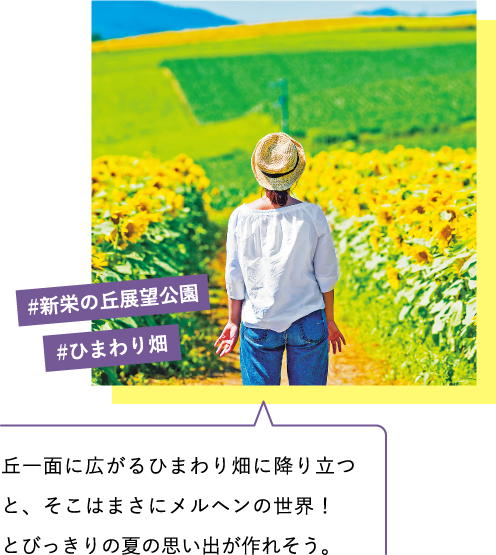 丘一面に広がるひまわり畑に降り立つと、そこはまさにメルヘンの世界!とびっきりの夏の思い出が作れそう。 #新栄の丘展望公園 #ひまわり畑