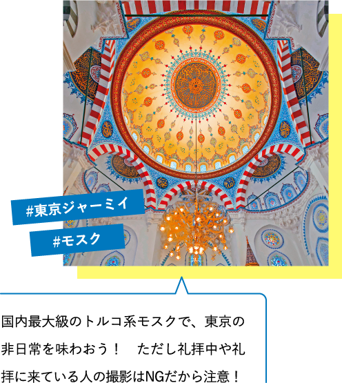 国内最大級のトルコ系モスクで、東京の非日常を味わおう! ただし礼拝中や礼拝に来ている人の撮影はNGだから注意! #東京ジャーミイ #モスク