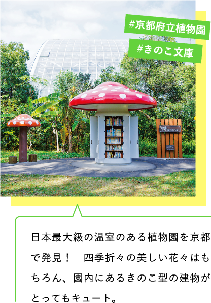 日本最大級の温室のある植物園を京都で発見! 四季折々の美しい花々はもちろん、園内にあるきのこ型の建物がとってもキュート。 #京都府立植物園 #きのこ文庫