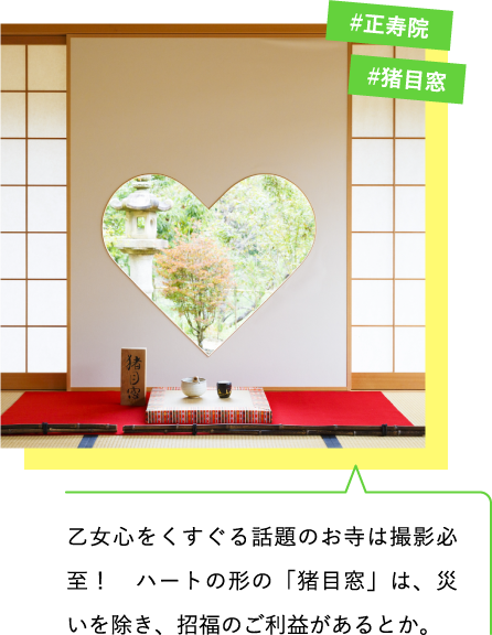 乙女心をくすぐる話題のお寺は撮影必至! ハートの形の「猪目窓」は、災いを除き、招福のご利益があるとか。#正寿院 #猪目窓