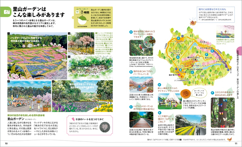 http://www.mapple.co.jp/topics/news/images/20170302/10-11.jpg