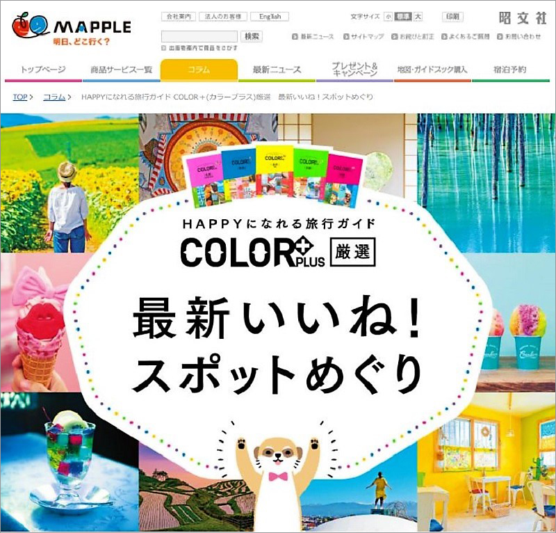 http://www.mapple.co.jp/topics/news/images/20180409/columntop_sashikae.jpg