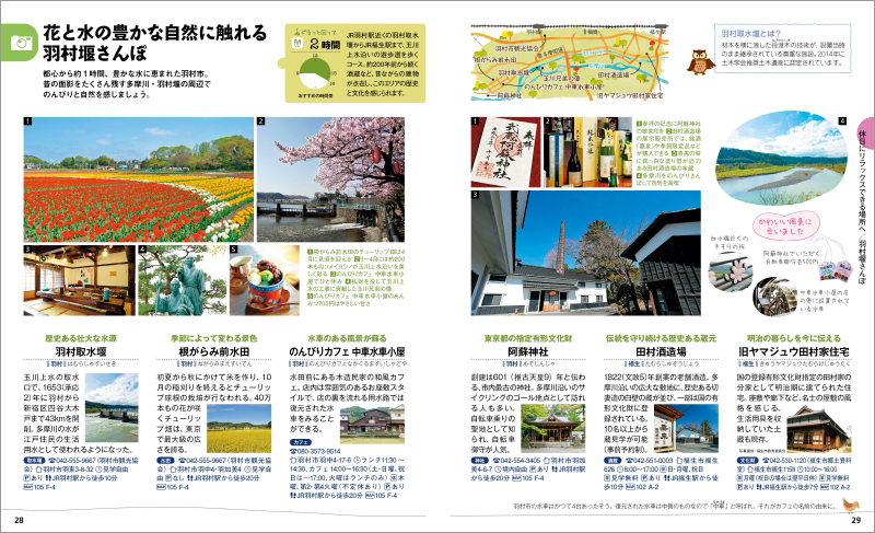 http://www.mapple.co.jp/topics/news/images/20190129/28-29.jpg