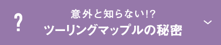 意外と知らない!?ツーリングマップルの秘密