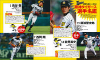 mhanshin_page1.jpg