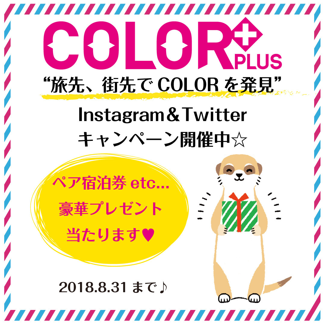 COLOR+カラープラスキャンペーン