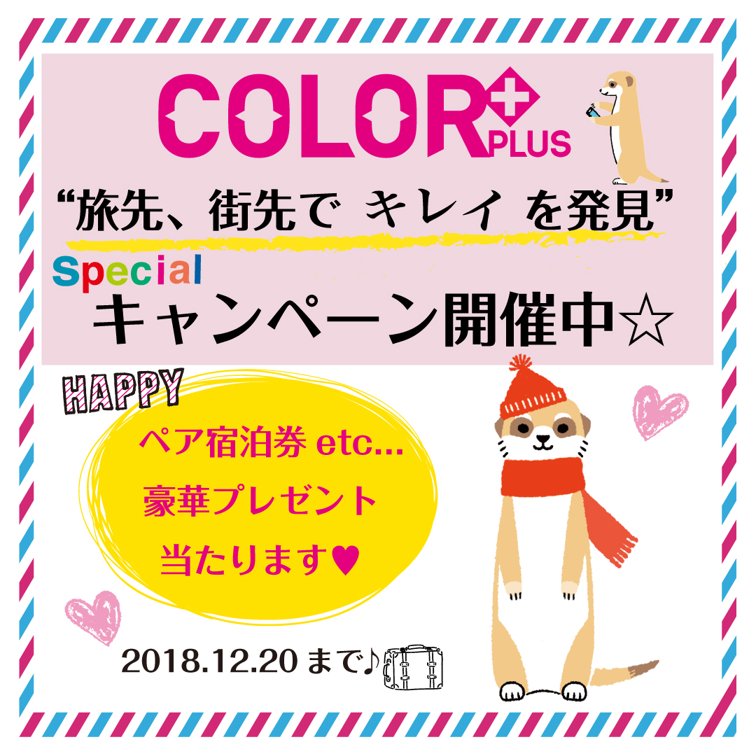 COLOR+カラープラスキャンペーン