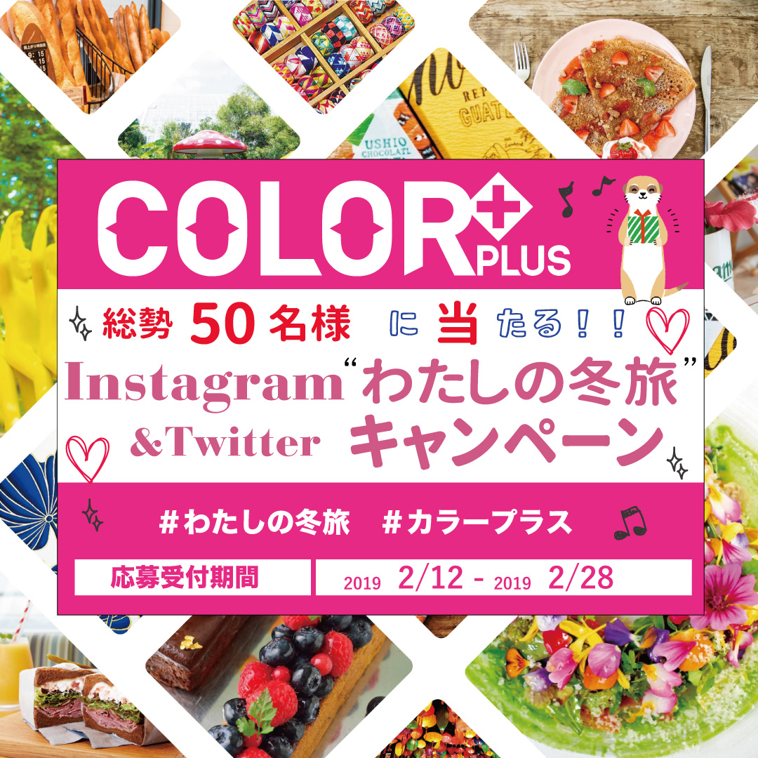 COLOR+カラープラスキャンペーン