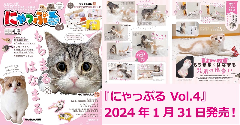 ねこまる プロフ/商品説明欄必読 ネコまる 2025年夏秋号 vol.50 (タツミムック) | 辰巳出版 |本